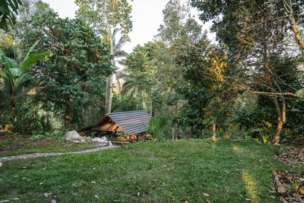 Tabanan,Bali,Indonesia,Land,MLS ID 1314