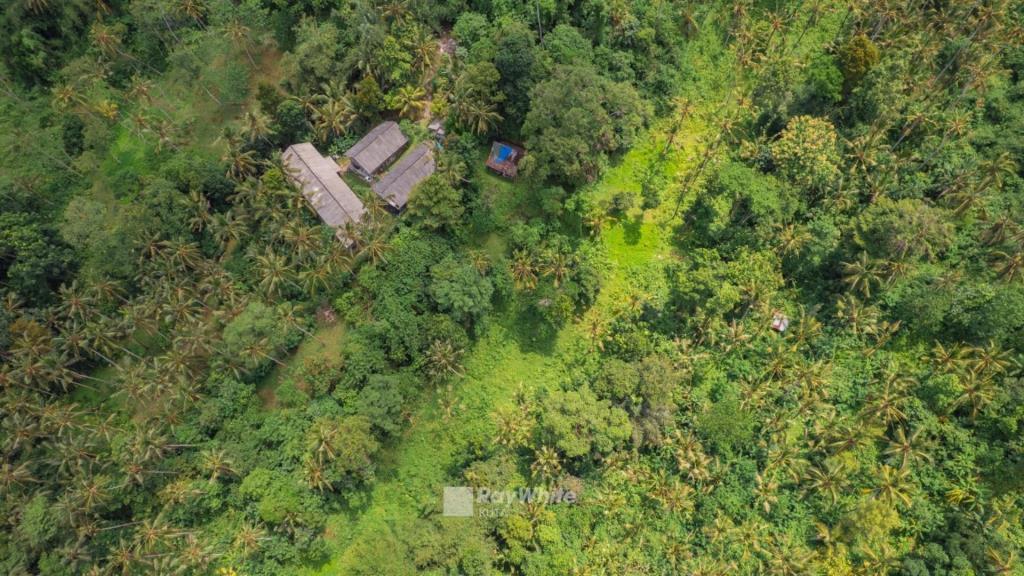 Tabanan,Bali,Indonesia,Land,MLS ID 1331