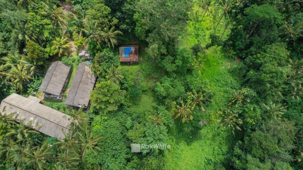 Tabanan,Bali,Indonesia,Land,MLS ID 1331