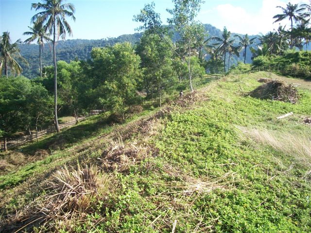 NTB,Indonesia,Land,MLS ID 1355