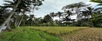 Ubud,Bali,Indonesia,Land,MLS ID 1374