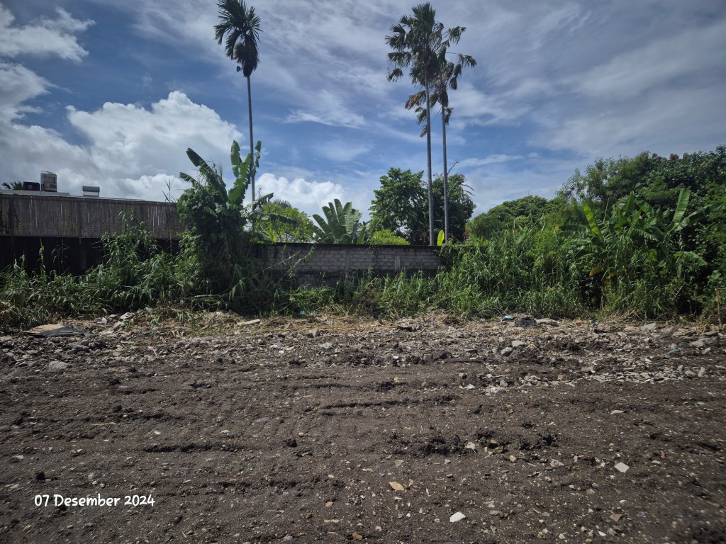 Denpasar,Bali,Indonesia,Land,MLS ID 1467