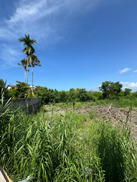 Denpasar,Bali,Indonesia,Land,MLS ID 1467