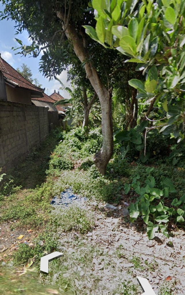 Tabanan,Bali,Indonesia,Land,MLS ID 1482