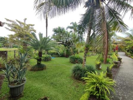 Ubud,Bali,Indonesia,4 Bedrooms,3 Bathrooms,Villa,MLS ID 1587