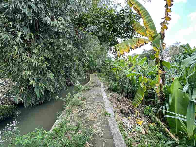 Canggu,Bali,Indonesia,Land,MLS ID 1703