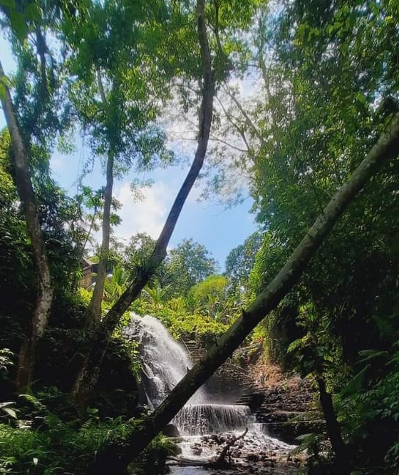 Bangli,Bali,Indonesia,Land,MLS ID 1719