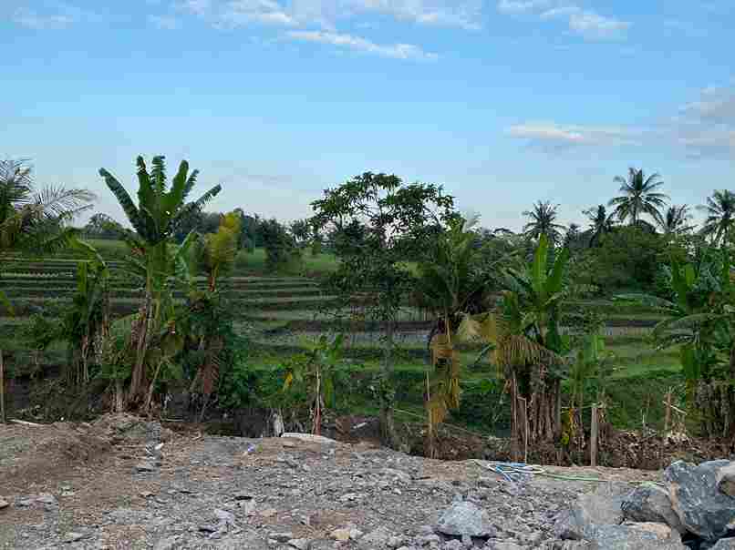 Tabanan,Bali,Indonesia,Land,MLS ID 1747