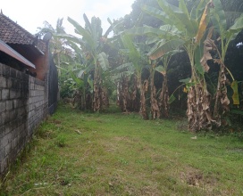 Buleleng,Bali,Indonesia,Land,MLS ID 1751