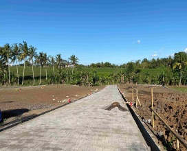 Tabanan,Bali,Indonesia,Land,MLS ID 1773