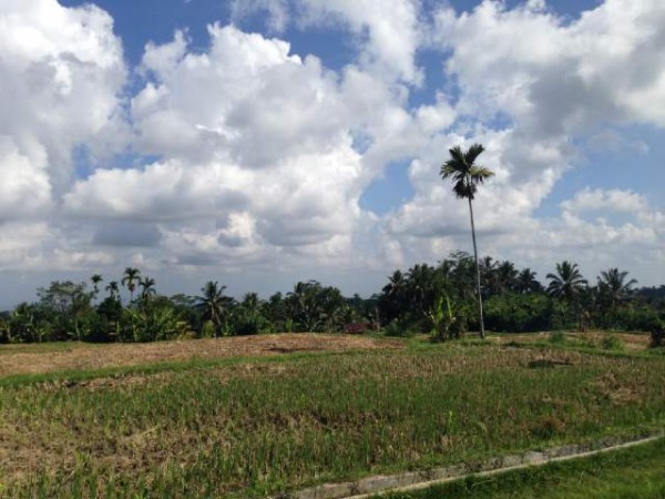 Ubud,Bali,Indonesia,Land,MLS ID