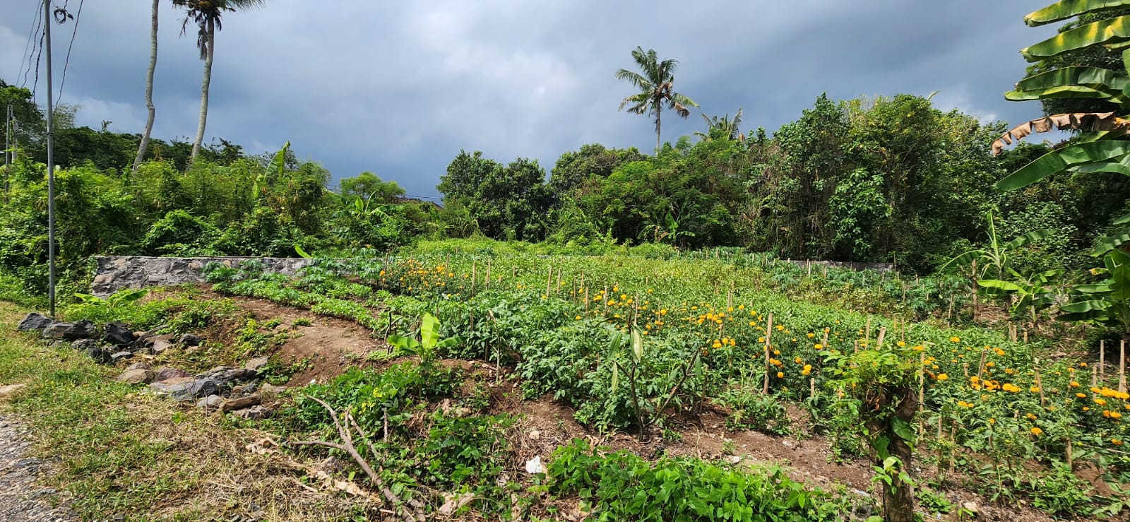 Tabanan,Bali,Indonesia,Land,MLS ID 1797