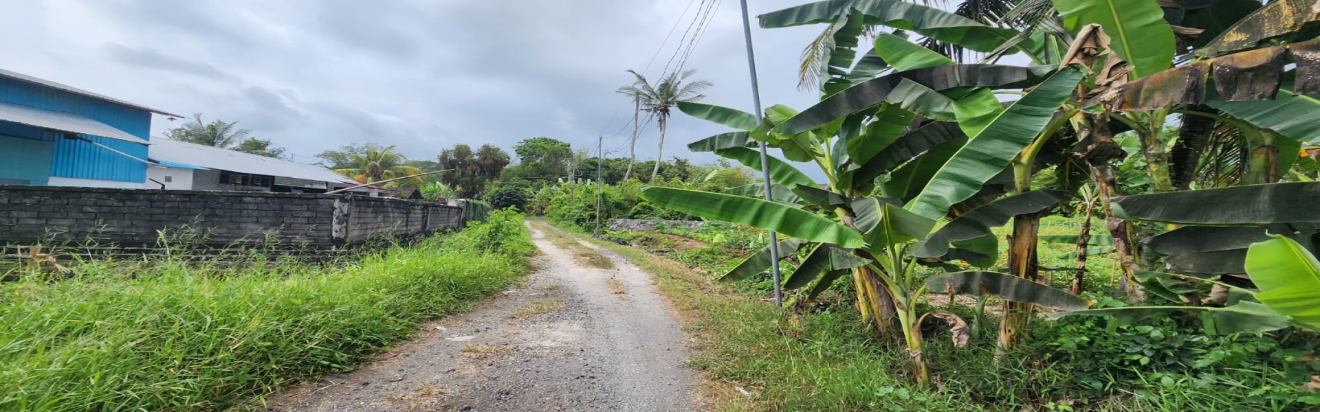 Tabanan,Bali,Indonesia,Land,MLS ID 1797