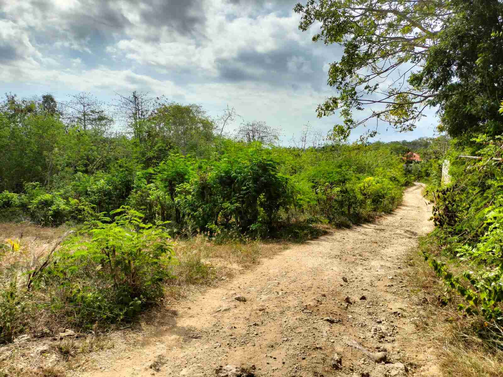 Uluwatu,Bali,Indonesia,Land,MLS ID 1805