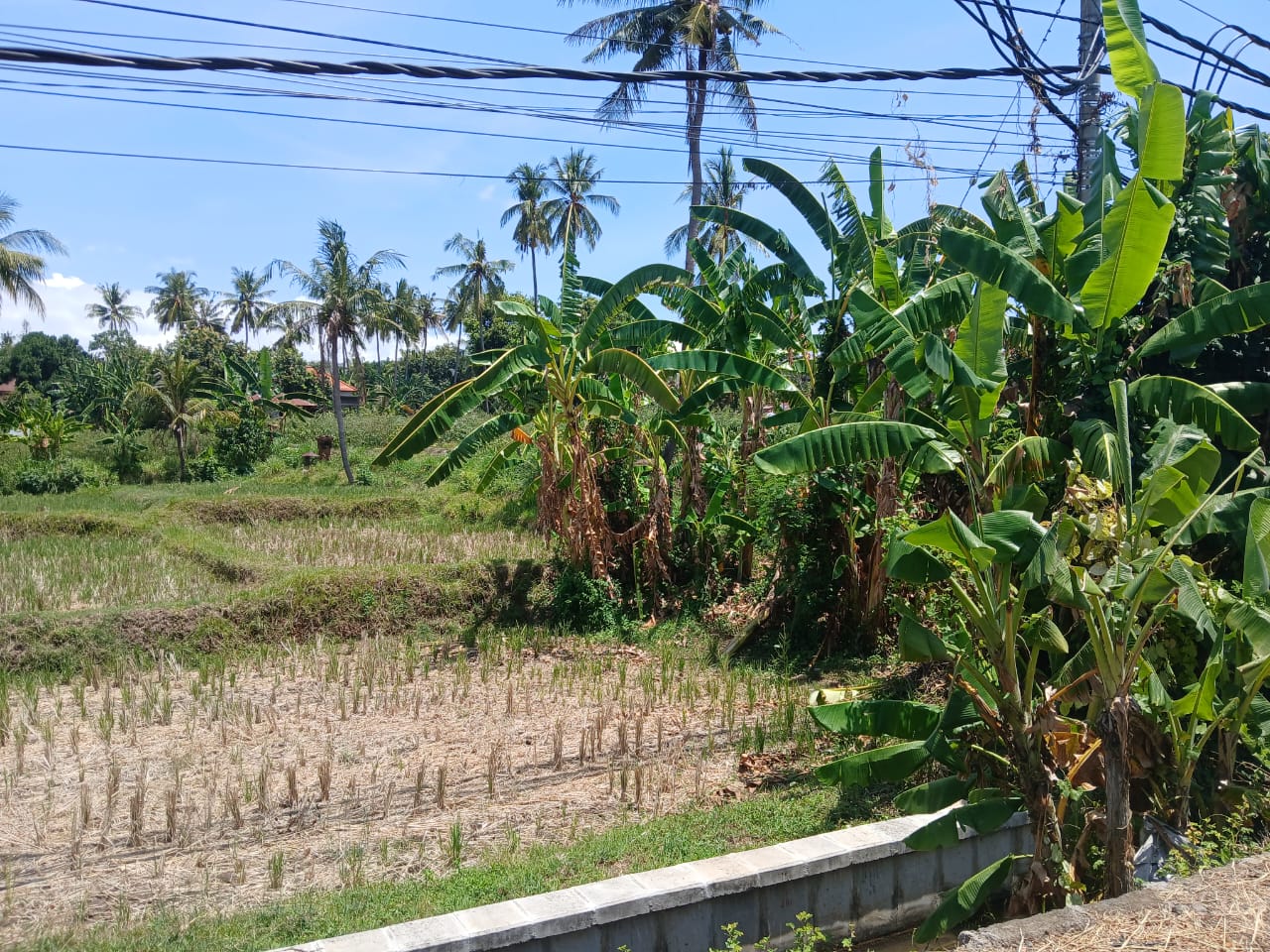 Buleleng,Bali,Indonesia,Land,MLS ID 1821