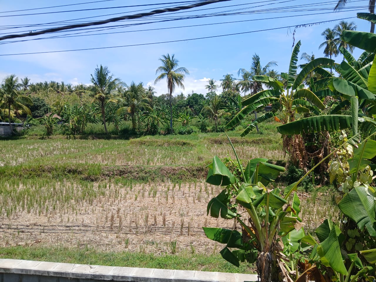 Buleleng,Bali,Indonesia,Land,MLS ID 1821