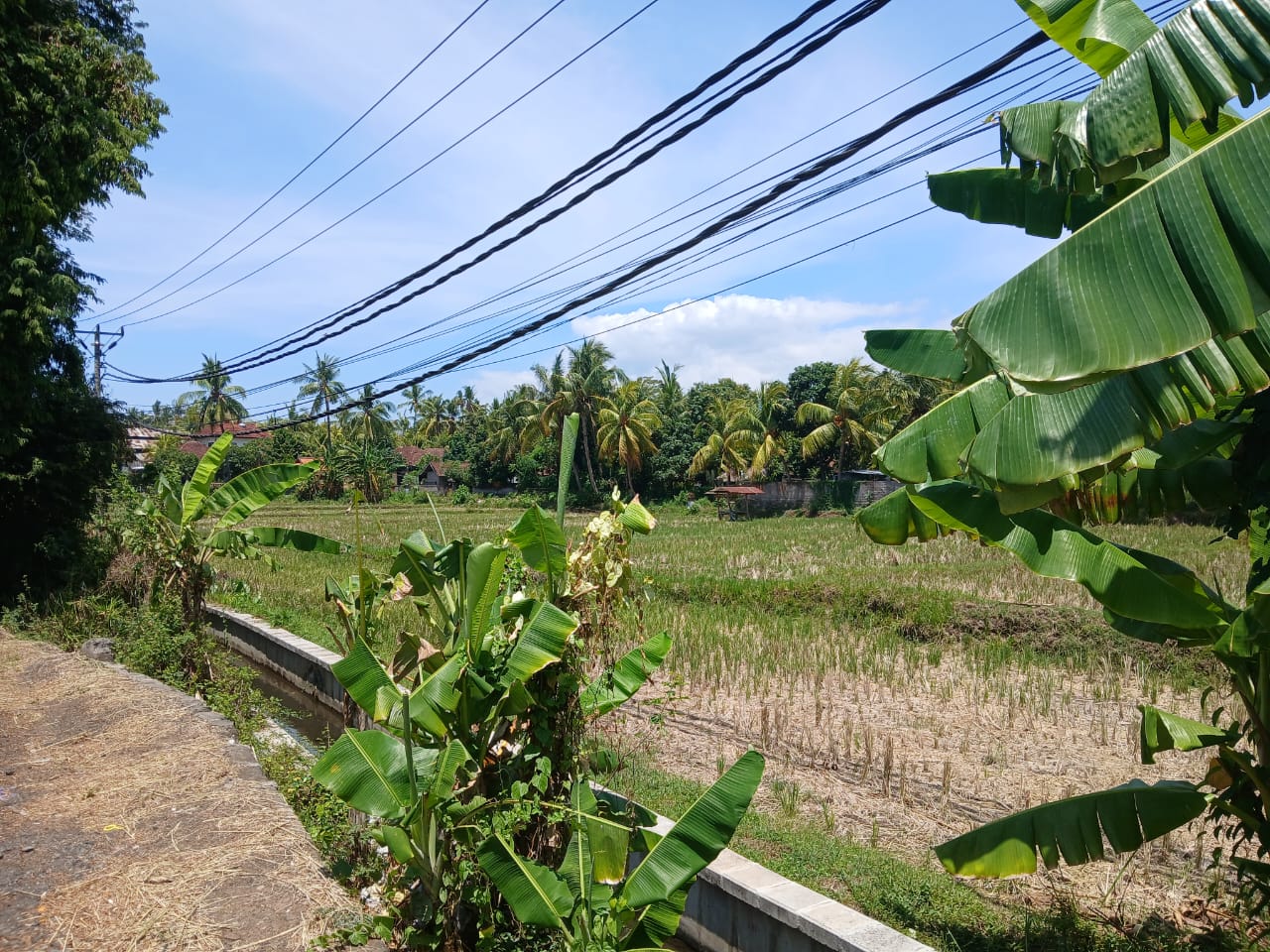 Buleleng,Bali,Indonesia,Land,MLS ID 1821