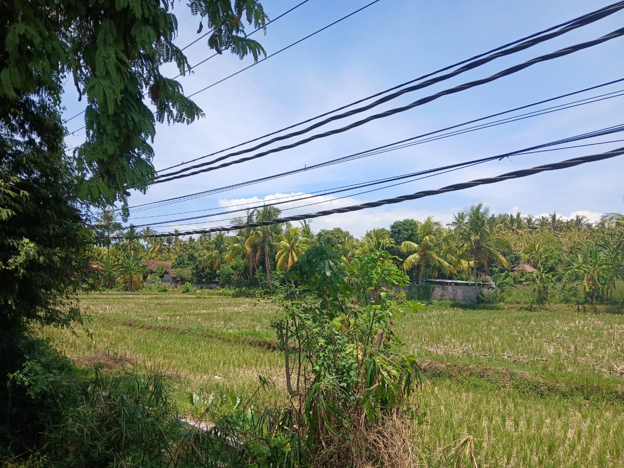 Buleleng,Bali,Indonesia,Land,MLS ID 1821