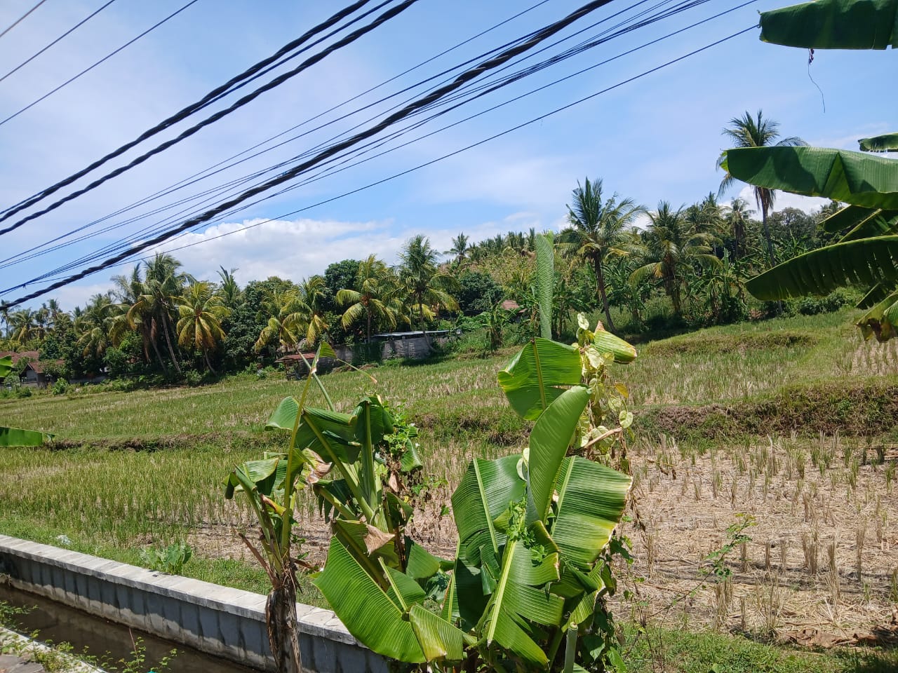 Buleleng,Bali,Indonesia,Land,MLS ID 1821