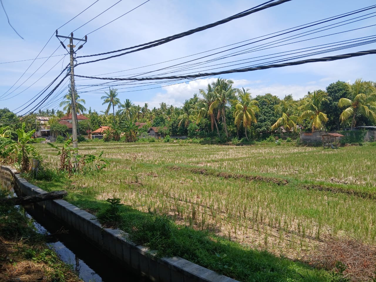 Buleleng,Bali,Indonesia,Land,MLS ID 1821