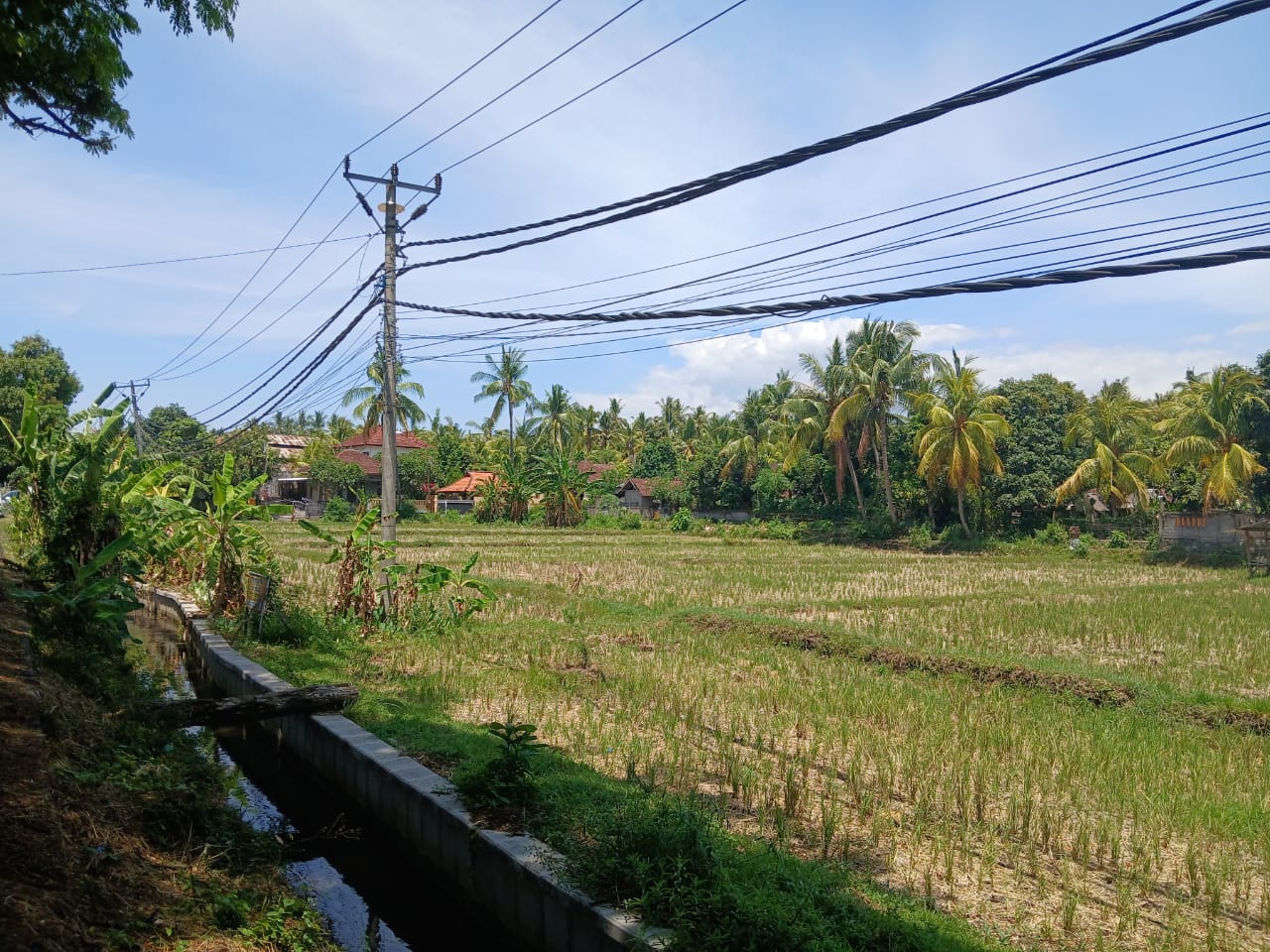 Buleleng,Bali,Indonesia,Land,MLS ID 1821