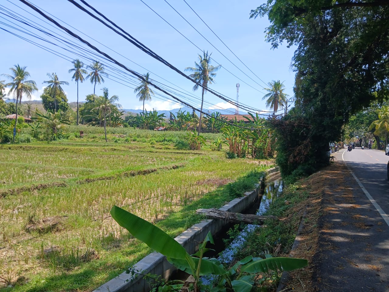 Buleleng,Bali,Indonesia,Land,MLS ID 1821