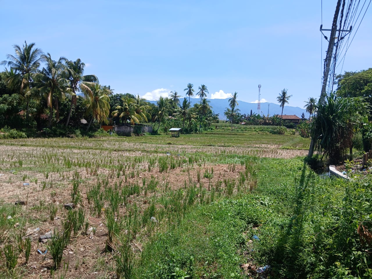 Buleleng,Bali,Indonesia,Land,MLS ID 1821