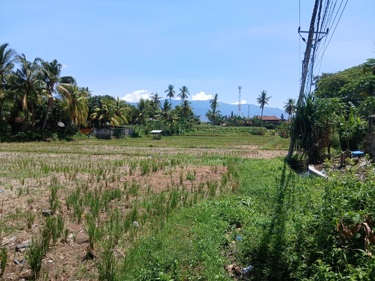 Buleleng,Bali,Indonesia,Land,MLS ID 1821