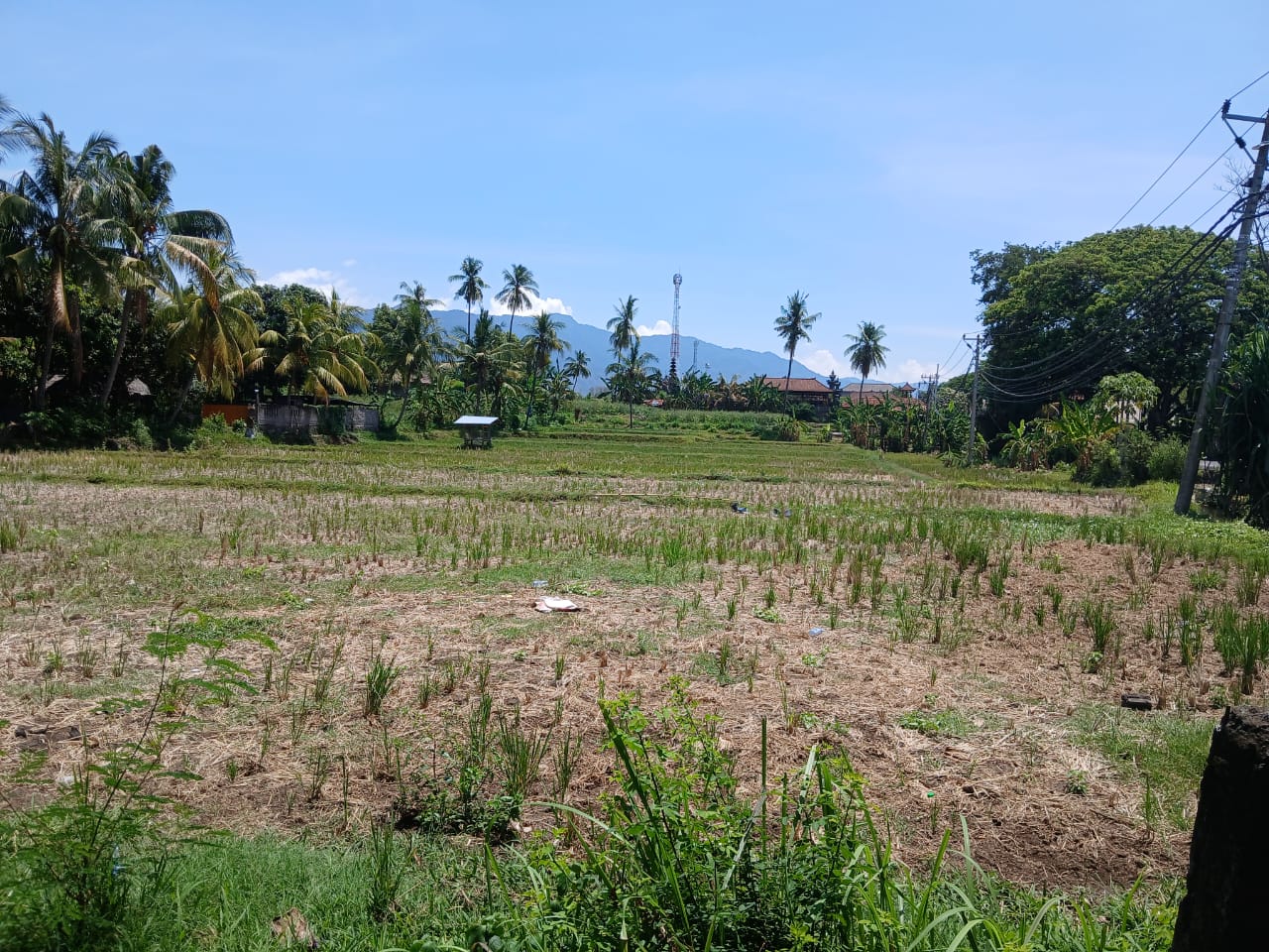 Buleleng,Bali,Indonesia,Land,MLS ID 1821