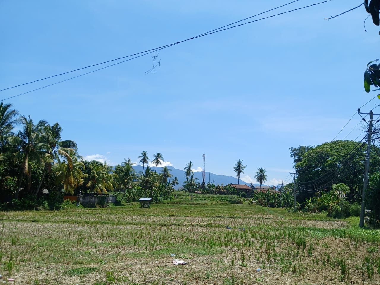 Buleleng,Bali,Indonesia,Land,MLS ID 1821