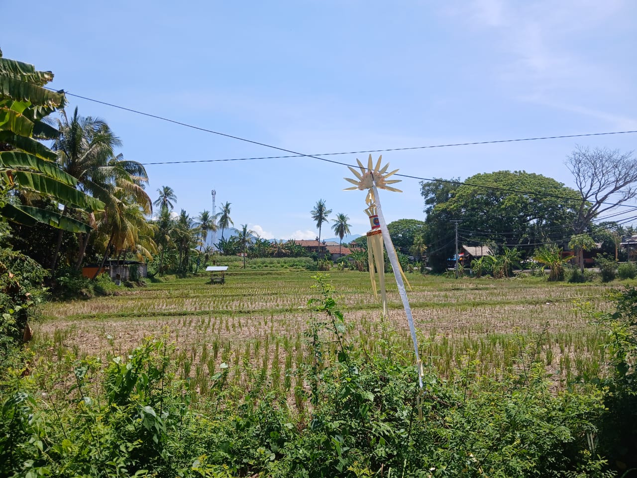 Buleleng,Bali,Indonesia,Land,MLS ID 1821