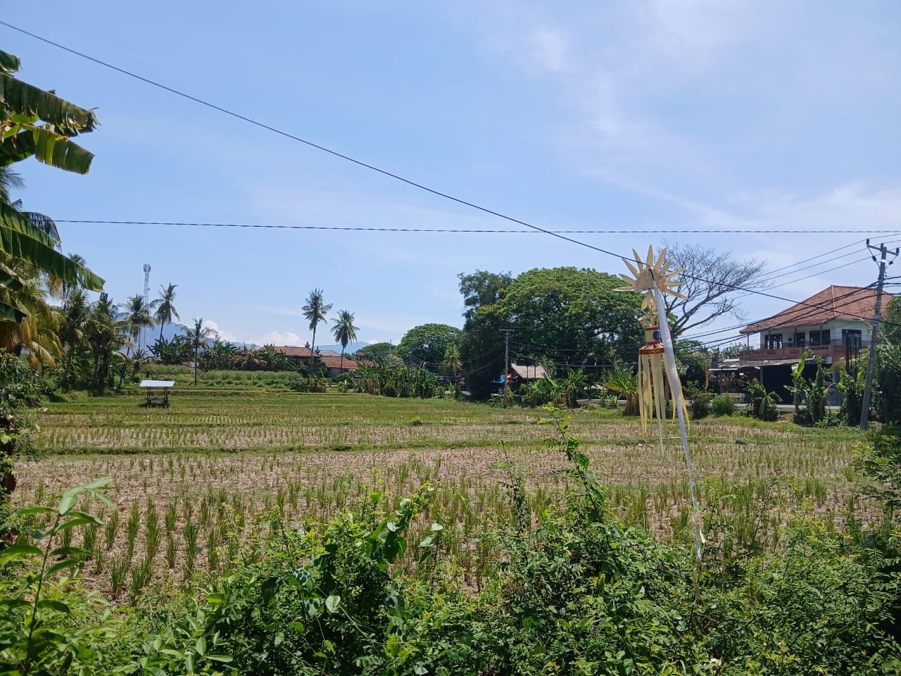 Buleleng,Bali,Indonesia,Land,MLS ID 1821