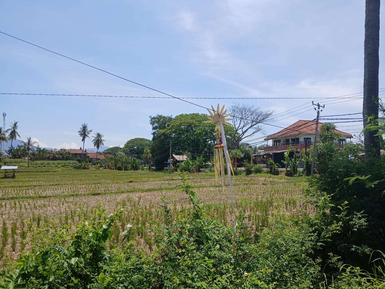 Buleleng,Bali,Indonesia,Land,MLS ID 1821