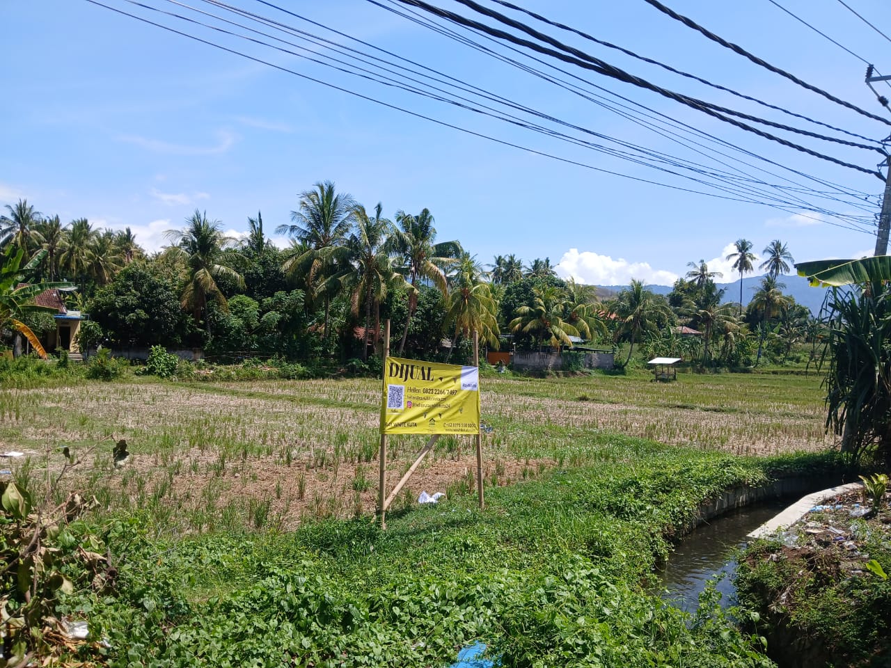 Buleleng,Bali,Indonesia,Land,MLS ID 1821