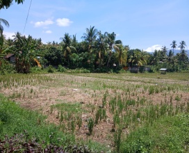 Buleleng,Bali,Indonesia,Land,MLS ID 1821