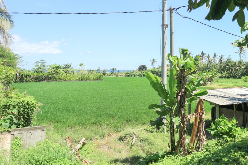 Gianyar,Bali,Indonesia,Land,MLS ID 1849