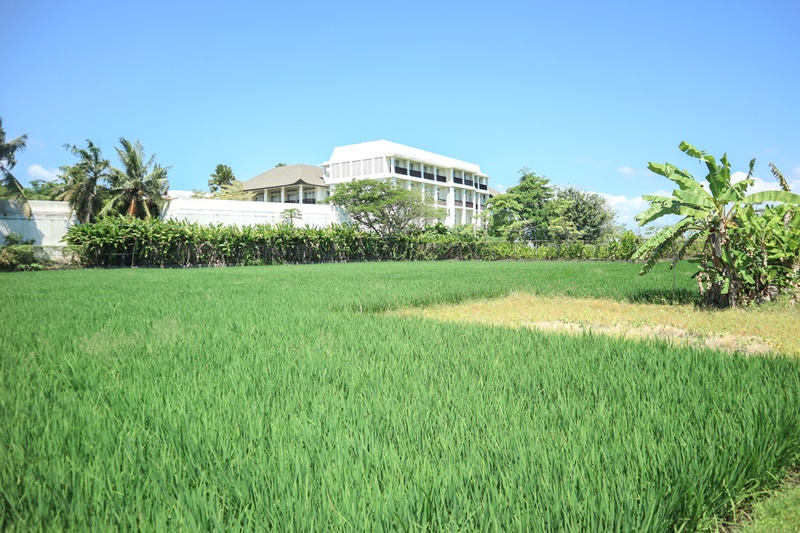 Gianyar,Bali,Indonesia,Land,MLS ID 1849