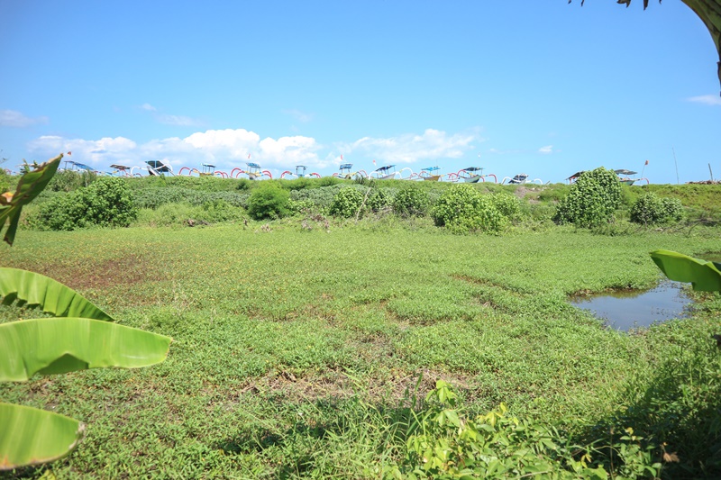 Gianyar,Bali,Indonesia,Land,MLS ID 1849