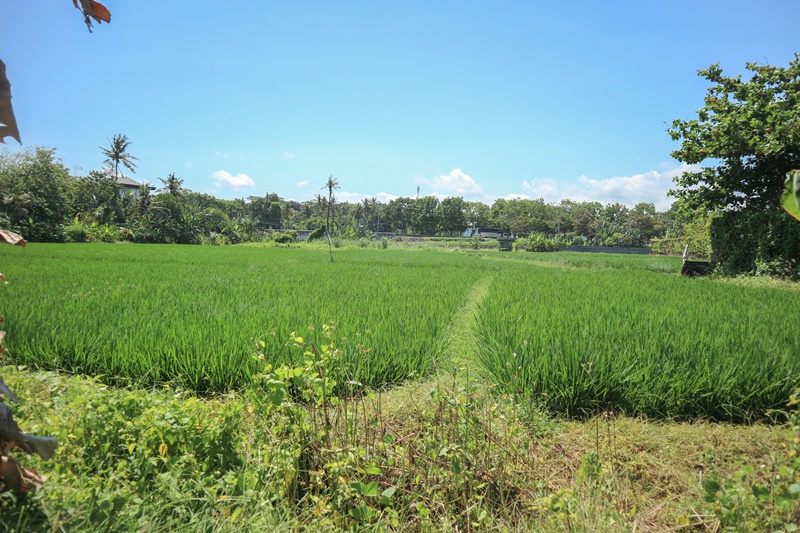 Gianyar,Bali,Indonesia,Land,MLS ID 1849