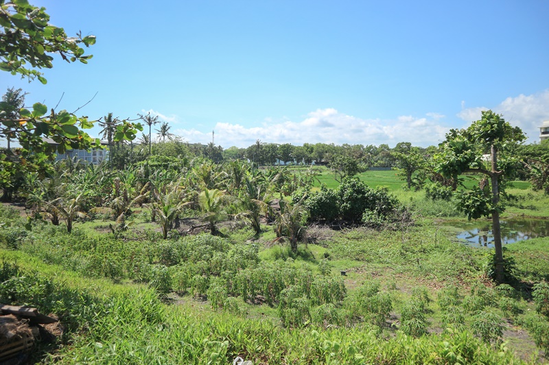 Gianyar,Bali,Indonesia,Land,MLS ID 1849