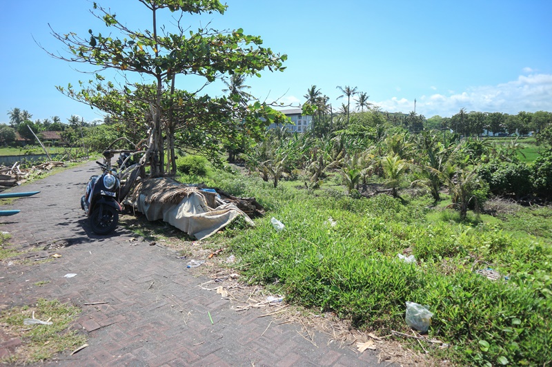 Gianyar,Bali,Indonesia,Land,MLS ID 1849