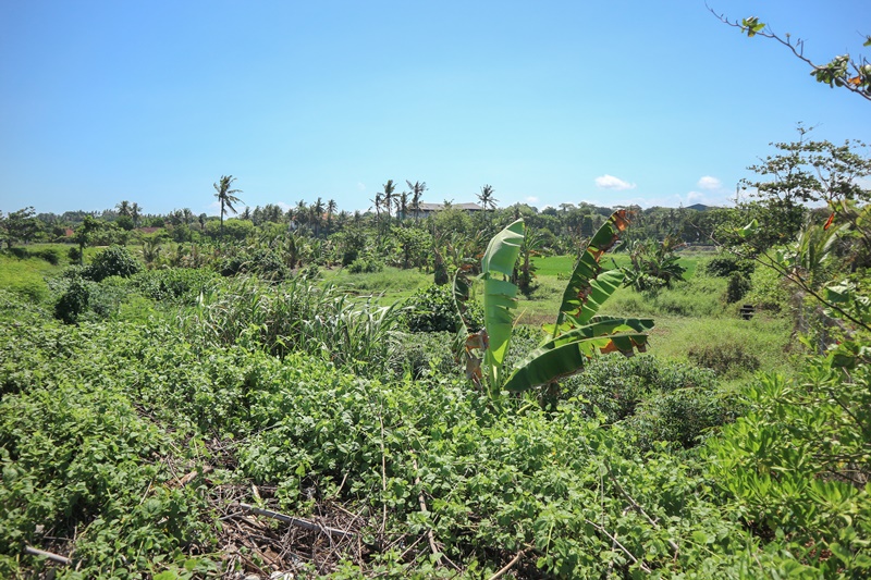 Gianyar,Bali,Indonesia,Land,MLS ID 1849