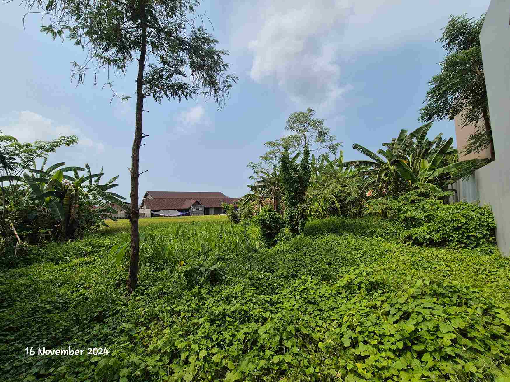 Canggu,Bali,Indonesia,Land,MLS ID 1875