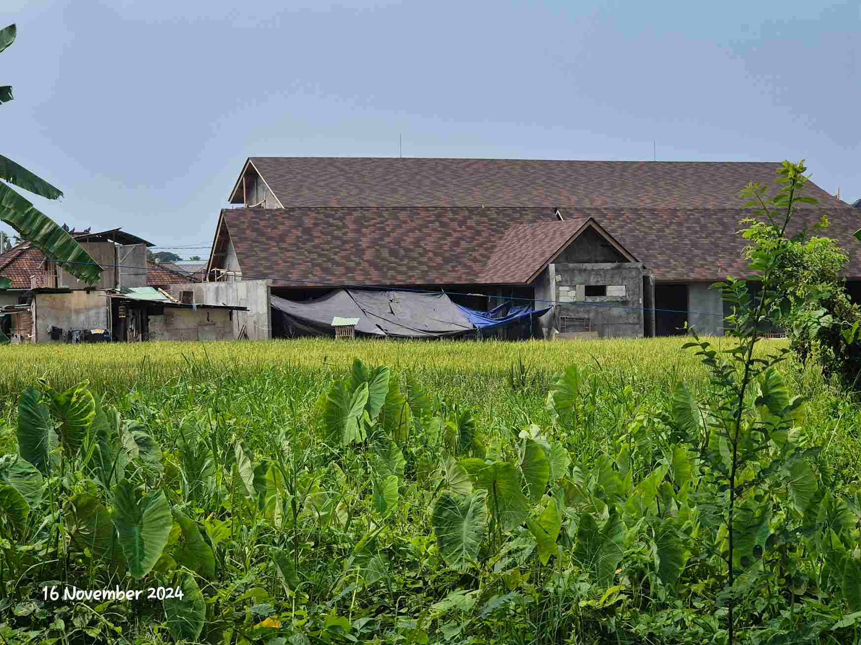 Canggu,Bali,Indonesia,Land,MLS ID 1875