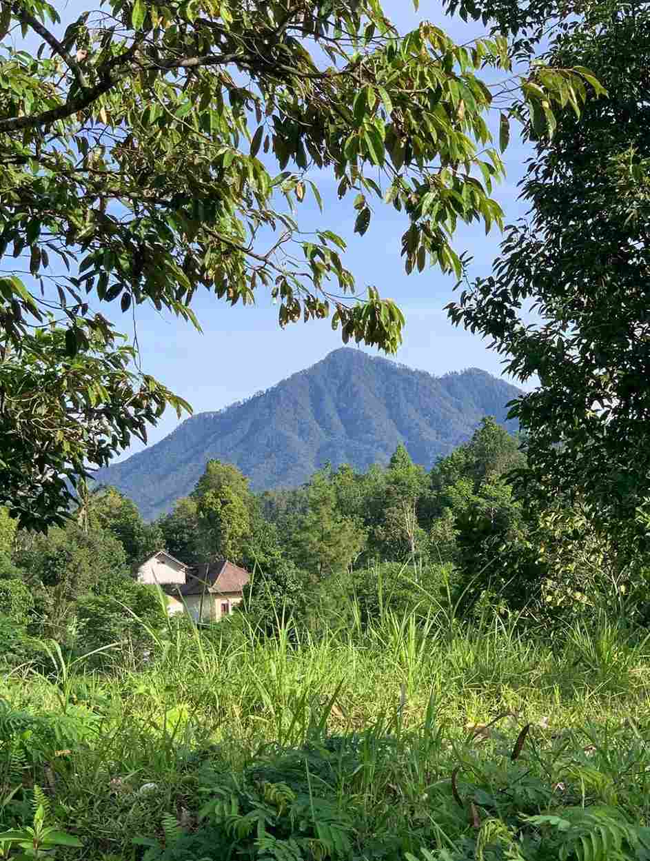 Karangasem,Bali,Indonesia,Land,MLS ID 1878