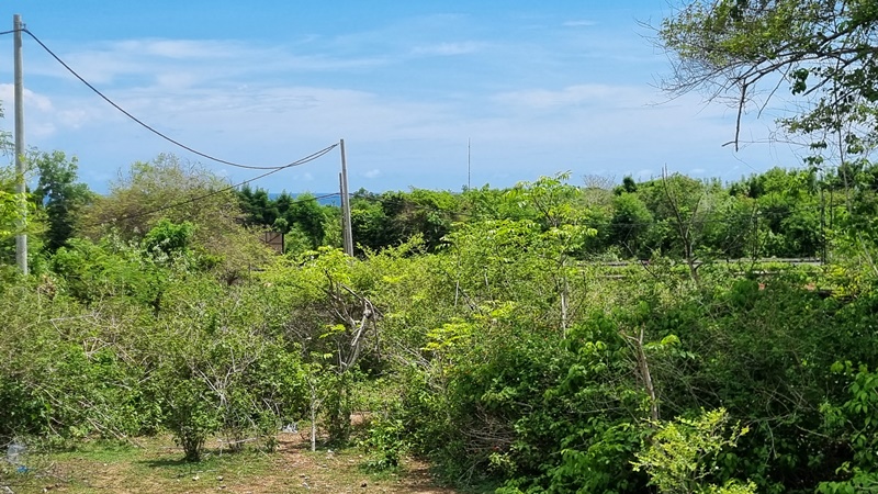 Nusa Dua,Bali,Indonesia,Land,MLS ID 1880