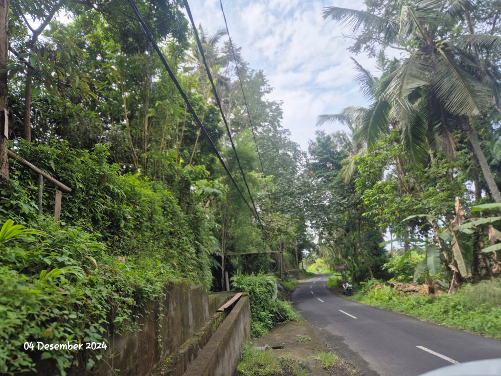 Ubud,Bali,Indonesia,Land,MLS ID 1897