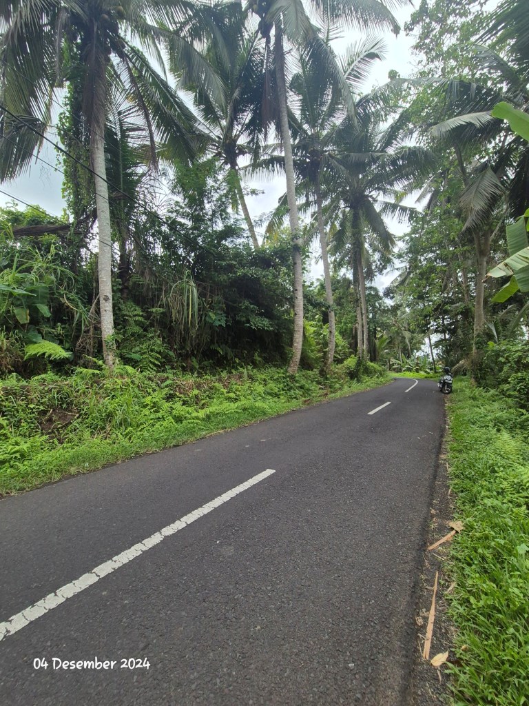 Ubud,Bali,Indonesia,Land,MLS ID 1897