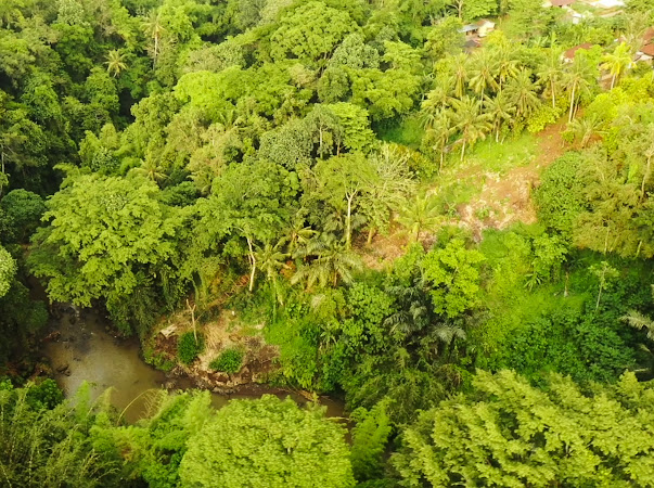 Tabanan,Bali,Indonesia,Land,MLS ID 1909