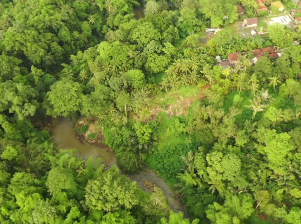 Tabanan,Bali,Indonesia,Land,MLS ID 1909